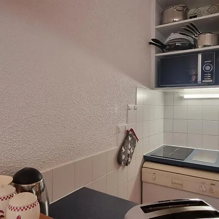 Lumineux Au Pied Des Pistes, Animaux Permis - Fr-1-181-2568 * 라 플라뉴