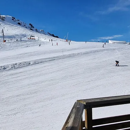 Lumineux Au Pied Des Pistes, Animaux Permis *