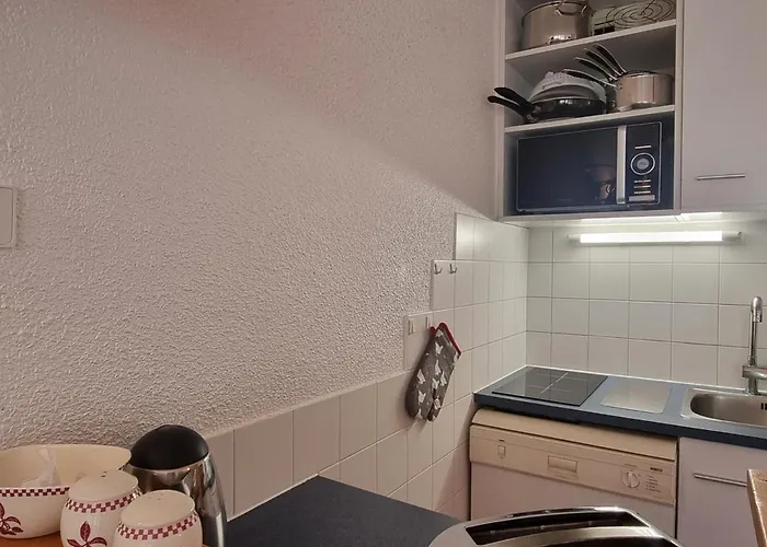 Lumineux Au Pied Des Pistes, Animaux Permis - Fr-1-181-2568 * Ла-Плань