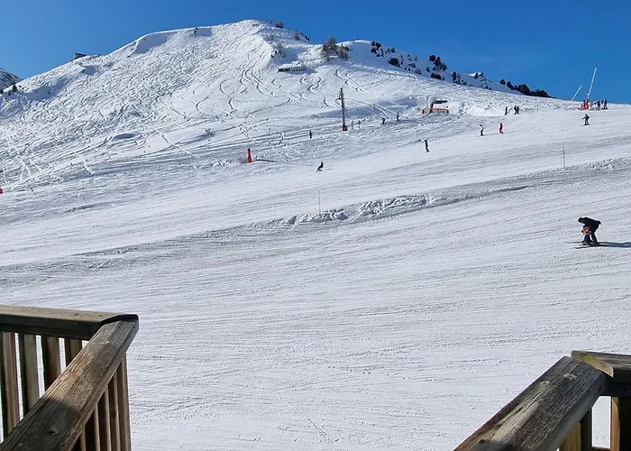 Lumineux Au Pied Des Pistes, Animaux Permis - Fr-1-181-2568 Ла-Плань